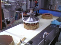 Icing_Depositor_1