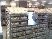 Bagel_Bag_Rack_1